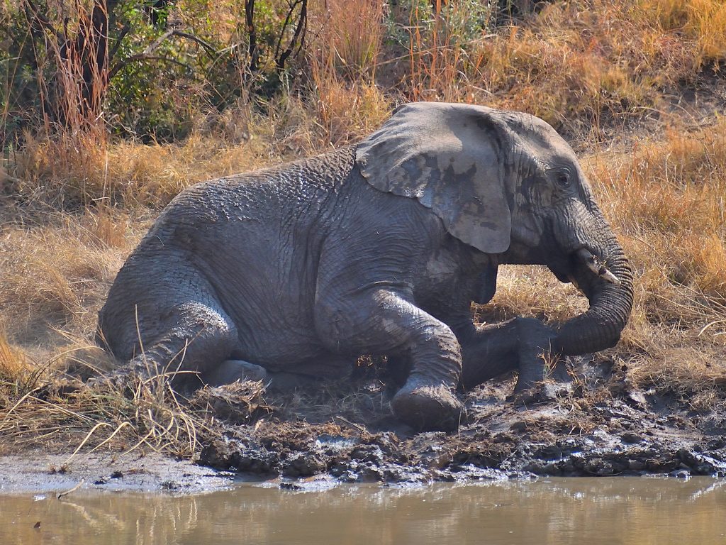 Cooling down from the heat